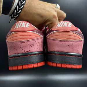 US11.5 Nike SB Dunk Low Red Lobster (2008)
