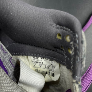 US9 Nike SB Dunk Purple Pigeon (2006)